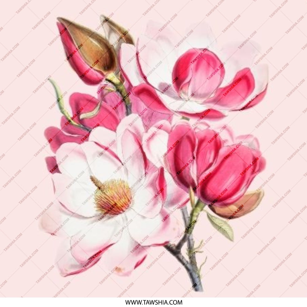 Pink Magnolia Pinback Button, Floral Pinback Button, Flower Badge, Botanical Illustration Pin, Trendy Aesthetic Button, Gift for Flower - Tawshia