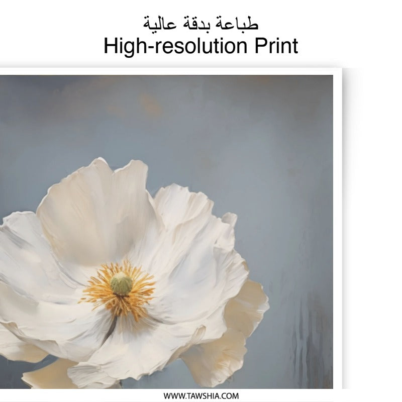 White Poppy Photographic Print, Floral Wall Art, Botanical Home Decor, Fine Art Print, Modern Art, Flower Photography - Tawshia