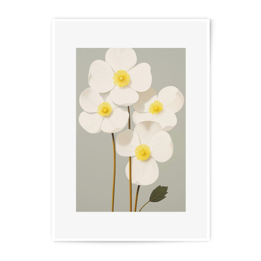 White Poppy Photographic Print, Floral Wall Art, Botanical Print, Flower Art Print, Home Decor, Minimalist Art, Plant Print, Art Print - Tawshia