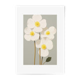 White Poppy Photographic Print, Floral Wall Art, Botanical Print, Flower Art Print, Home Decor, Minimalist Art, Plant Print, Art Print - Tawshia
