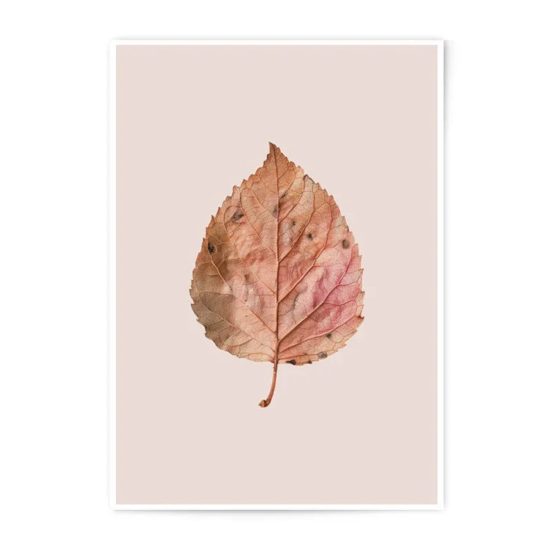 Autumn Leaf Photographic Prints, Botanical Wall Art, Fall Decor, Rustic Home Decor, Nature Photography, Leaf Print, Modern Art, Art Prints - Tawshia