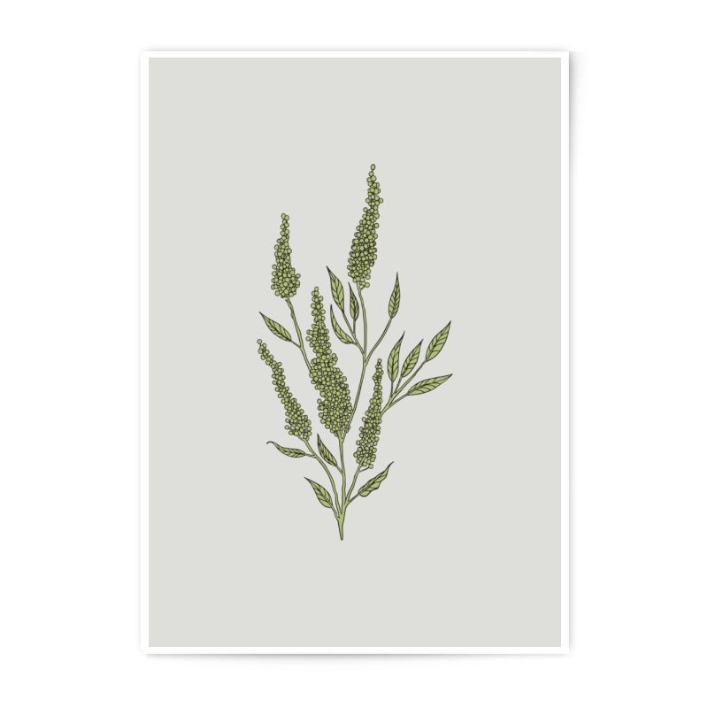 Botanical Photographic Prints, Green Plant Art, Minimalist Wall Decor, Leaf Illustration, Modern Home Art Print, Office Art, Nature Art - Tawshia