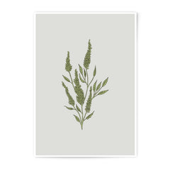 Botanical Photographic Prints, Green Plant Art, Minimalist Wall Decor, Leaf Illustration, Modern Home Art Print, Office Art, Nature Art - Tawshia