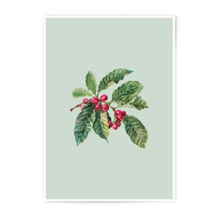 Coffee Plant Photographic Prints, Botanical Art Print, Kitchen Decor, Coffee Lover Gift, Farmhouse Print, Coffee Bean Art, Wall Art - Tawshia