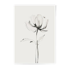 Minimalist Flower Photographic Print, Floral Wall Art, Elegant Home Decor, Botanical Photography Print, Modern Art - Tawshia
