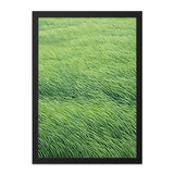 Abstract Green Field Wall Art, Modern Nature Print, Minimalist Art Decor, Fine Art Photography, Home Decor Wall Art - Tawshia