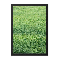 Abstract Green Field Wall Art, Modern Nature Print, Minimalist Art Decor, Fine Art Photography, Home Decor Wall Art - Tawshia
