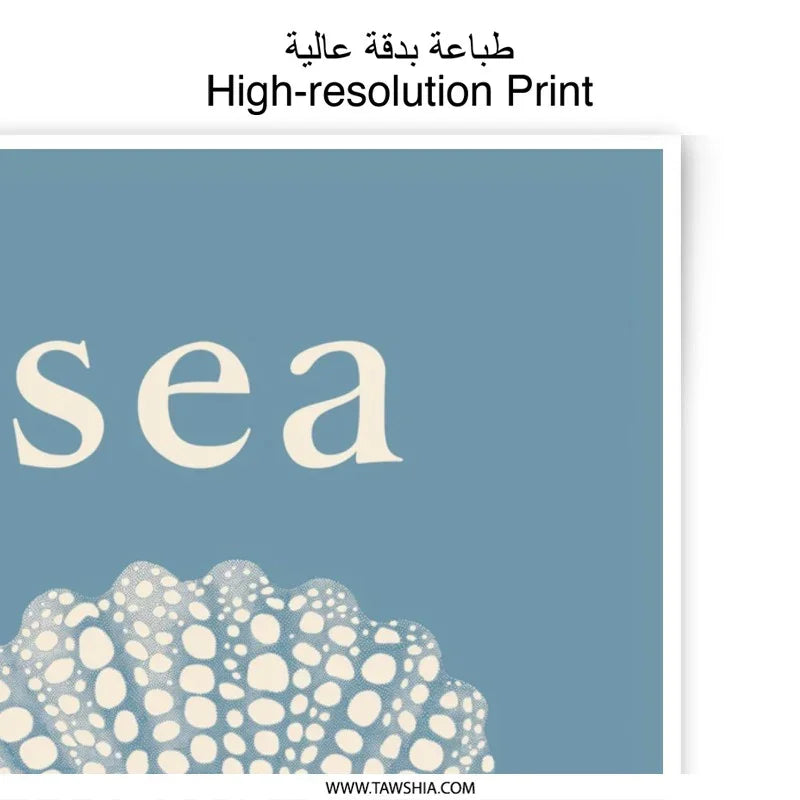 Sea Shell Photographic Print, Coastal Wall Art, Beach House Decor, Ocean Theme Print, Seashell Art, Nautical Home Decor, Blue Art - Tawshia