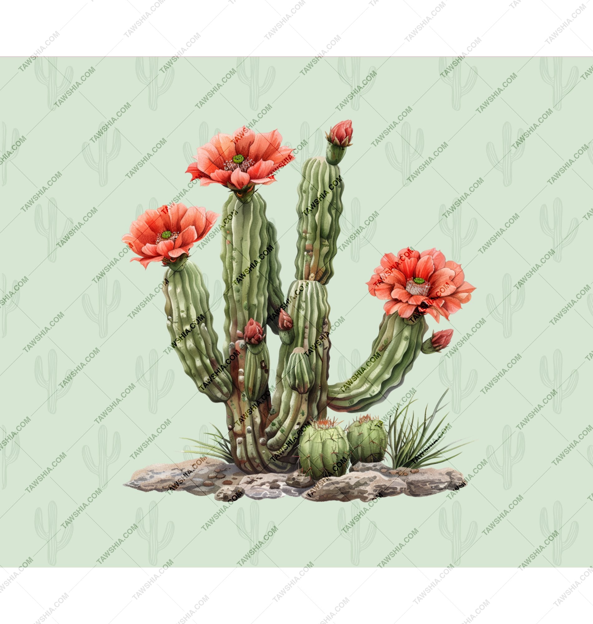 Vibrant Blooming Cactus with Red Flowers Art product type