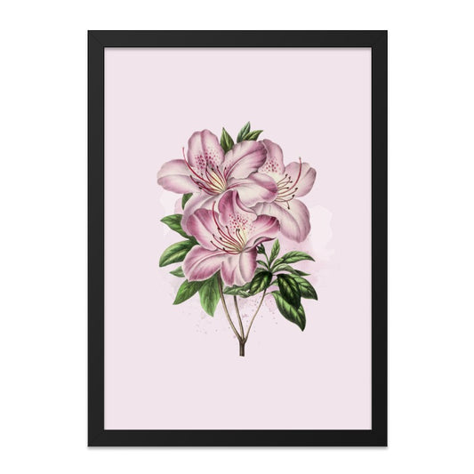Floral Wall Art, Azalea Flower Print, Botanical Illustration, Vintage Style, Delicate Pink Flowers, Nature Inspired Art, Home Decor - Tawshia