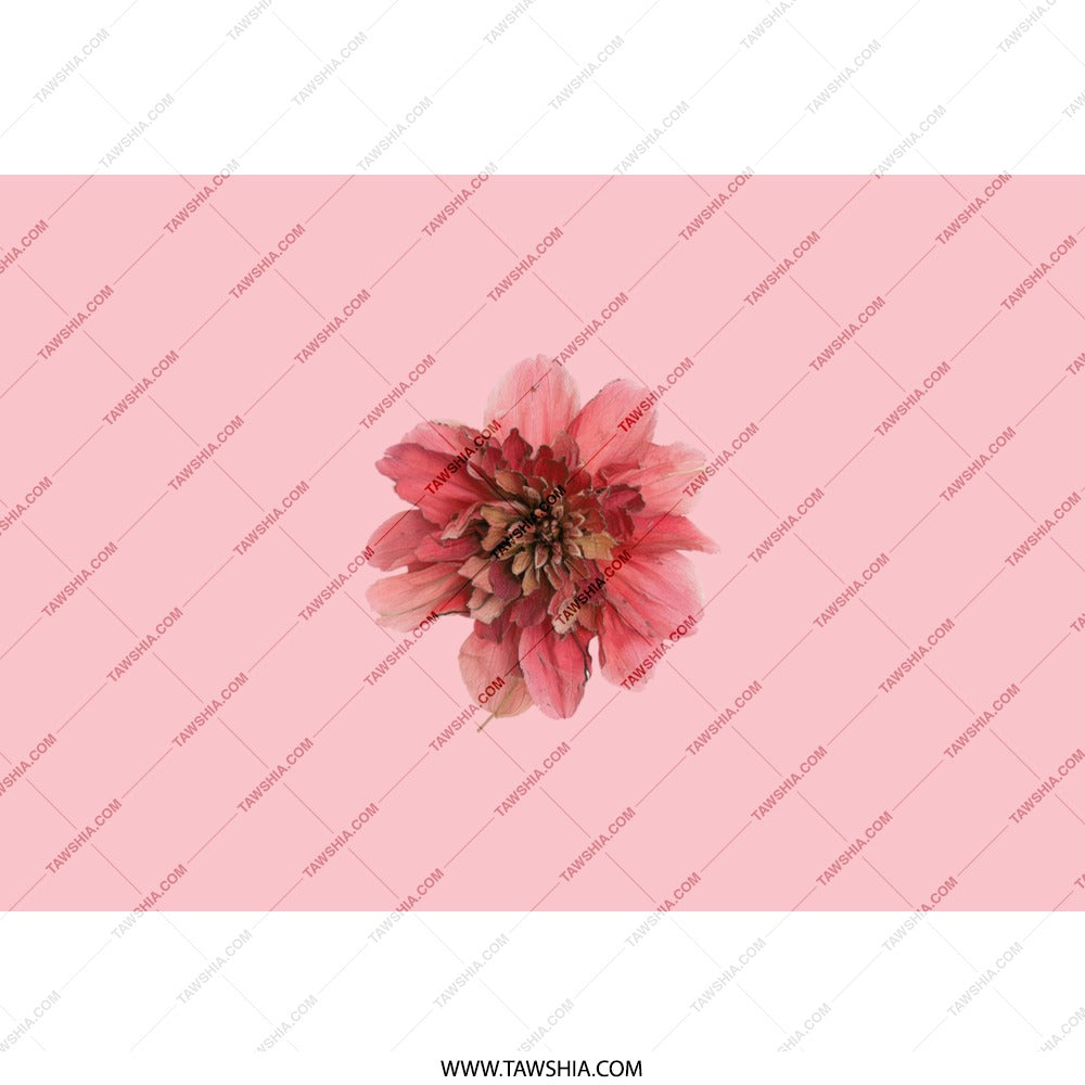 Pink Floral Tumbler, Dahlia Flower Design, Elegant Tumbler, Botanical Tumbler, Gift for Her, Cute Tumbler, Flower Lover Gift - Tawshia