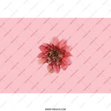 Pink Floral Tumbler, Dahlia Flower Design, Elegant Tumbler, Botanical Tumbler, Gift for Her, Cute Tumbler, Flower Lover Gift - Tawshia