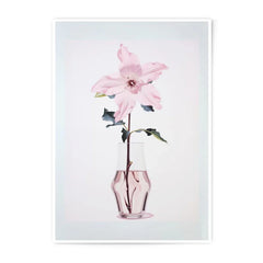 Pink Clematis Photographic Print, Floral Wall Art, Modern Flower Photography, Botanical Home Decor, Fine Art Print - Tawshia