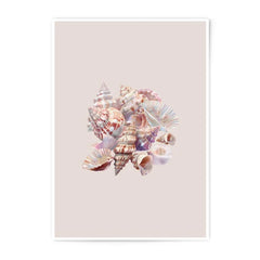 Seashells Photographic Print, Coastal Home Decor, Beach House Art, Ocean Inspired Wall Art, Seashell Art Print - Tawshia
