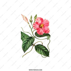 Pink Allamanda Flower Pillow, Botanical Print Pillow, Floral Throw Pillow, Tropical Flower Art, Home Decor Pillow, Accent Cushion - Tawshia