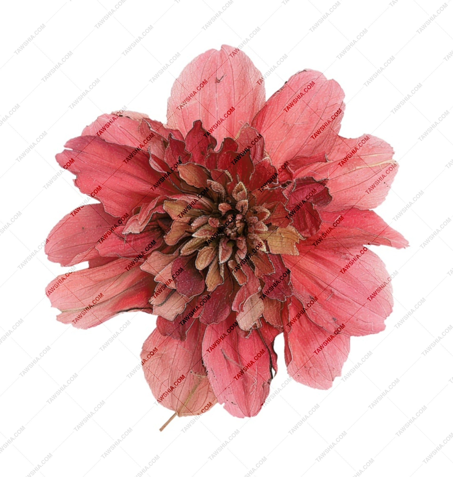 Red Dahlia Flower Mug, Floral Art Coffee Mug, Botanical Print Gift, Unique Design Mug, Elegant Drinkware, Flower Lover Present - Tawshia