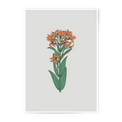 Orange Lily Photographic Prints, Floral Home Decor, Botanical Wall Art, Flower Art Prints, Floral Print, Modern Art Print, Wall Decor - Tawshia