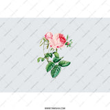 Pink Rose Tumbler, Floral Tumbler, Flower Tumbler, Botanical Tumbler, Aesthetic Tumbler, Gift For Her, Cute Tumbler, Stylish Tumbler - Tawshia