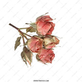Pink Roses Pocket Mirror, Floral Mirror, Compact Mirror, Rose Design, Gift for Her, Flower Pocket Mirror, Cute Mirror - Tawshia