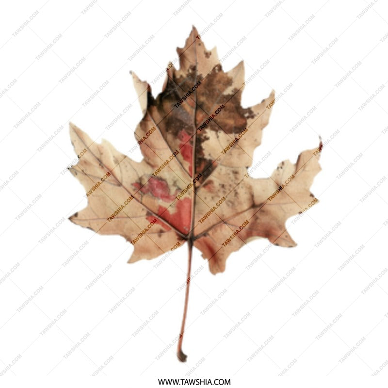 Autumn Leaf Mug, Fall Decor Mug, Nature Inspired Mug, Maple Leaf Mug, Seasonal Mug, Coffee Mug, Tea Mug, Autumn Gifts - Tawshia