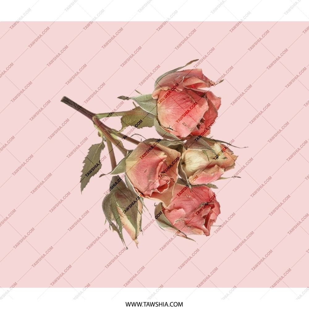 Pink Roses Backpack, Floral Backpack, Flower Print Backpack, Stylish Backpack, Gift for Her, Everyday Backpack (128 characters) - Tawshia
