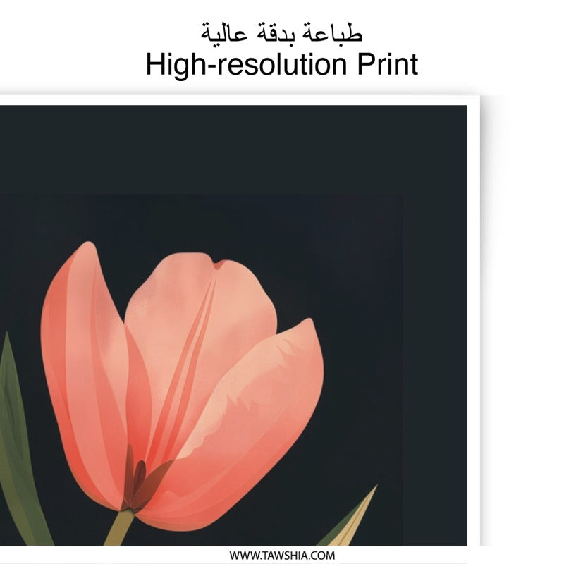 Tulip Photographic Print, Floral Wall Art, Modern Botanical Print, Home Decor, Fine Art Print - Tawshia