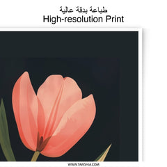 Tulip Photographic Print, Floral Wall Art, Modern Botanical Print, Home Decor, Fine Art Print - Tawshia