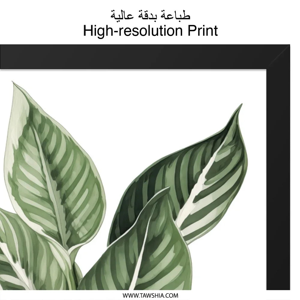 Calathea Plant Wall Art, Botanical Print, Tropical Leaf Decor, Greenery Art, Modern Home Decor, Framed Art Print - Tawshia