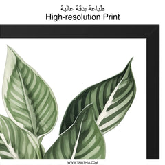 Calathea Plant Wall Art, Botanical Print, Tropical Leaf Decor, Greenery Art, Modern Home Decor, Framed Art Print - Tawshia