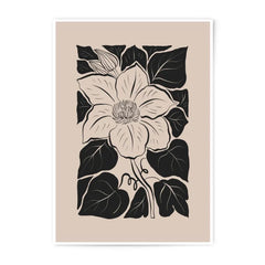 Clematis Photographic Print, Botanical Art Print, Floral Wall Art, Flower Print, Modern Home Decor, Minimalist Art, Plant Poster - Tawshia