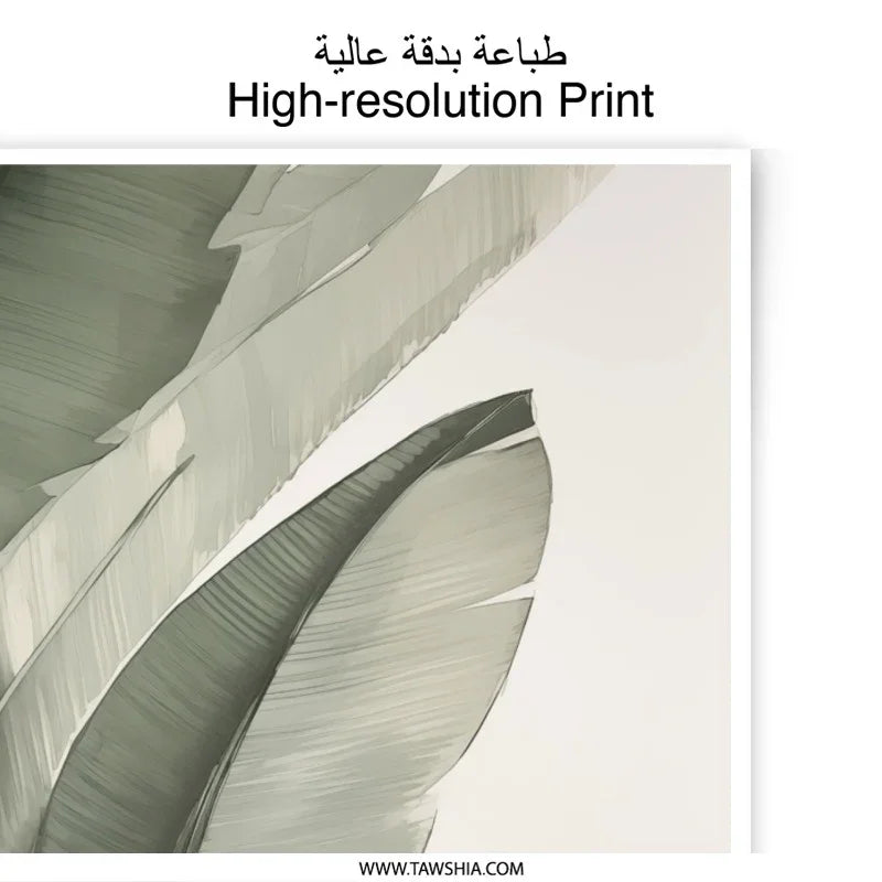 Tropical Photographic Print, Banana Leaf Art, Botanical Wall Decor, Green Leaf Print, Modern Home Decor, Plant Lover Gift - Tawshia