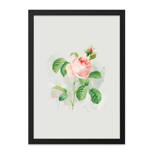 Vintage Rose Wall Art, Botanical Flower Print, Floral Home Decor, Antique Rose Illustration, Pink Rose Painting - Tawshia