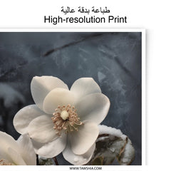 Winter Hellebore Photographic Print, Floral Photography, Botanical Wall Art, Moody Flower Picture, Winter Garden Print - Tawshia