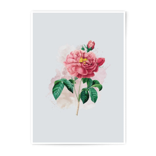 Pink Rose Photographic Prints, Vintage Floral Art, Botanical Print, Romantic Home Decor, Flower Wall Art, Nature Inspired Gift - Tawshia