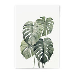 Monstera Leaf Photographic Print, Tropical Decor, Botanical Wall Art, Houseplant Print, Minimalist Art, Green Leaves, Plant Lover Gift - Tawshia