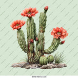 Flowering Cactus Pinback, Desert Bloom Button, Botanical Badge, Southwestern Style Pin, Succulent Jewelry, Plant Lover Gift, Nature Inspired - Tawshia