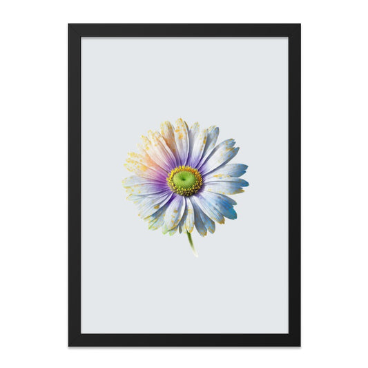 Daisy Wall Art, Floral Wall Decor, Botanical Art Print, Colorful Flower, Home Decor, Nature Print, Flower Photography - Tawshia