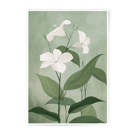 White Flowers Photographic Print, Botanical Wall Art, Floral Home Decor, Green Background Art Print, Nature Photography, Wall Decor - Tawshia
