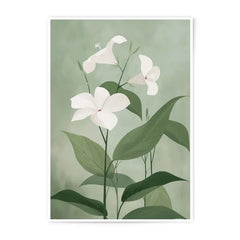White Flowers Photographic Print, Botanical Wall Art, Floral Home Decor, Green Background Art Print, Nature Photography, Wall Decor - Tawshia