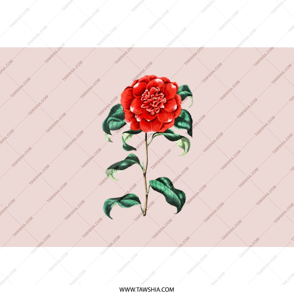 Red Camellia Tumbler, Floral Tumbler, Flower Tumbler, Garden Lover Gift, Botanical Drinkware, Gift for Her, Camellia Japonica - Tawshia