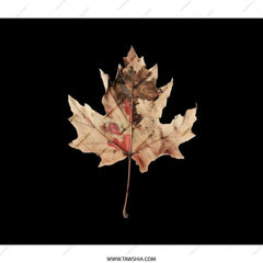 Autumn Leaf Backpack, Maple Leaf Bag, Fall Foliage, School Bag, Nature Lover Backpack, Leaf Backpack for Kids, College Backpack, Bookbag - Tawshia