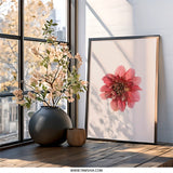 Pink Dahlia Flower Wall Art, Botanical Print, Floral Home Decor, Minimalist Art, Modern Wall Art, Contemporary Art, Nature Inspired Art - Tawshia