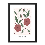 Pansy Flower Wall Art Print, Floral Illustration, Botanical Decor, Modern Wall Decor, Flower Art Print, Home Decor, Pansy Print - Tawshia