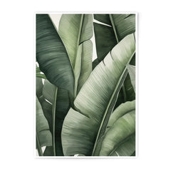 Banana Leaf Photographic Print, Tropical Wall Art, Botanical Decor, Green Leaves Print, Nature Art, Home Decor, Modern Art Print - Tawshia