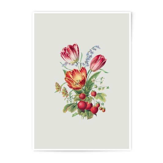 Tulip Strawberry Photographic Prints, Vintage Floral Wall Art, Kitchen Decor, Botanical Illustration, Colorful Fine Art, Nature Photo - Tawshia