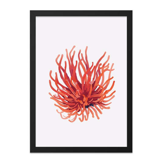 Rambutan Fruit Wall Art, Tropical Fruit Print, Exotic Fruit Decor, Kitchen Wall Art, Modern Home Decor, Fine Art Print - Tawshia