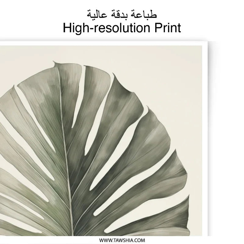 Monstera Leaf Photographic Print, Botanical Wall Art, Tropical Decor, Houseplant Art, Plant Lover Gift, Trending Now - Tawshia