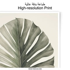 Monstera Leaf Photographic Print, Botanical Wall Art, Tropical Decor, Houseplant Art, Plant Lover Gift, Trending Now - Tawshia