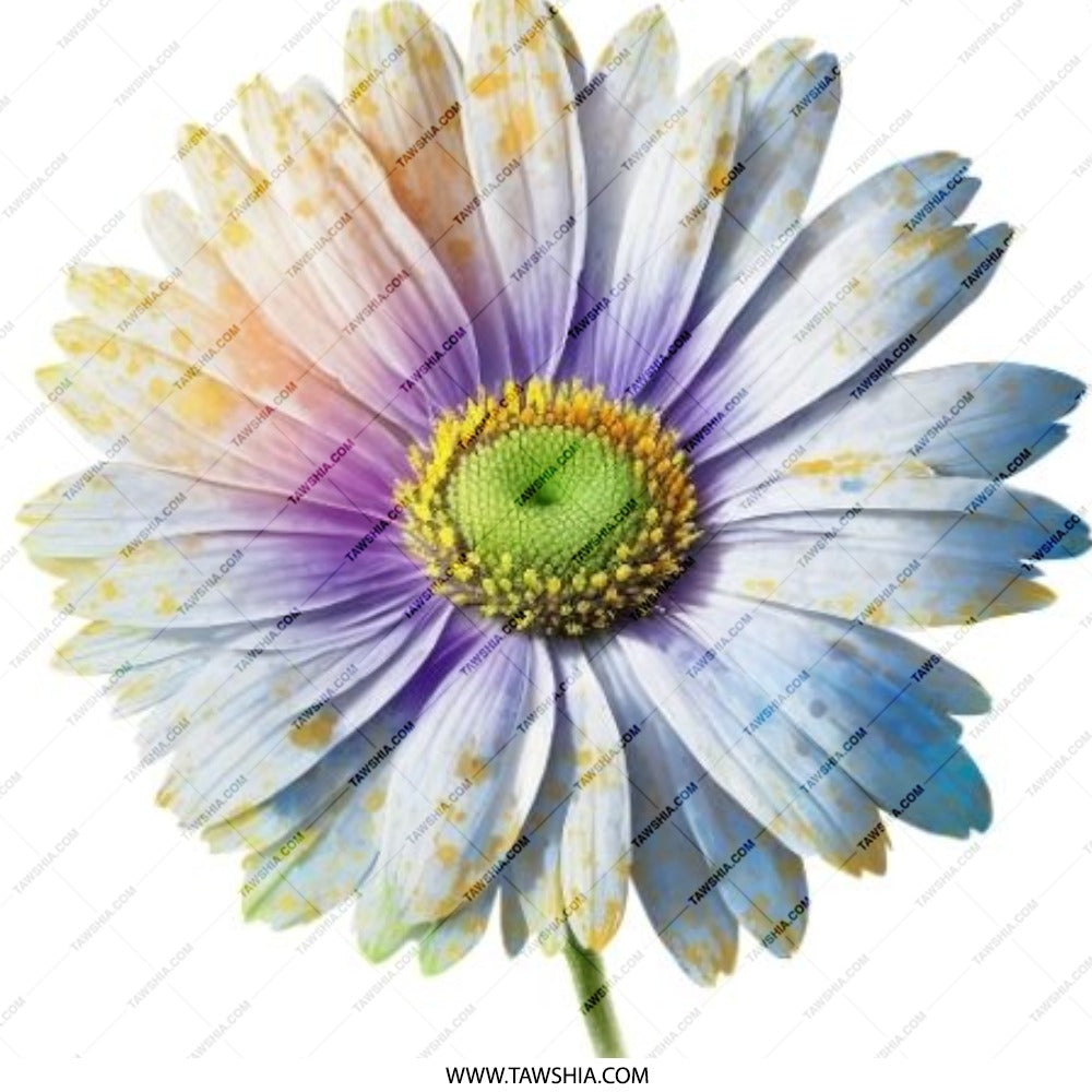 Daisy Pinback Button, Floral Pin, Colorful Flower Button, Botanical Badge, Gift for Her, Cute Button, Flower Lover Gift, Unique Pinback - Tawshia