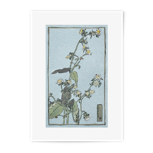 Antique Floral Photographic Print, Vintage Flower Art Print, Botanical Wall Decor, Japanese Style Floral Print, Elegant Home Decor - Tawshia